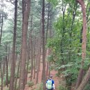 진목주유소 | 한북정맥 07구간 포천 죽엽산(竹葉山 615.8) 220813
