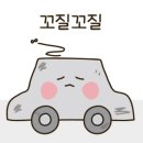 청년손세차