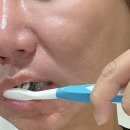 나이스덴탈 | [다니에르 리뷰] 시린이 잇몸부종 오라덴탈치약 유즈베이치약 후기