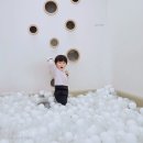 토리엔모리 이미지
