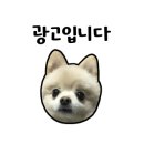라이브드럼연습실 이미지
