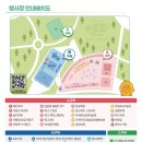 시월愛 가을을 그리다 | 양산 황산공원 국화축제 댑싸리 코스모스 한눈에 보는 가을꽃