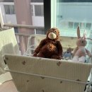 싼타세탁 이미지