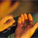 구슬치기 이미지