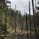 유진금속공업(주) 이미지