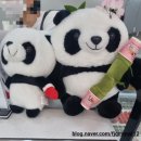 판다탕후루 | 판다탕후루 대전은행점 후기