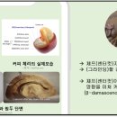 씨앤조이주