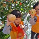 꽃재유치원 이미지