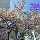 라온행정사사무소 이미지