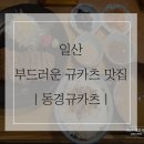 웨스턴돔 | 동경규카츠｜ 일산 규카츠 맛집 웨스턴돔 내돈내산 후기