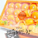 한라청과 이미지