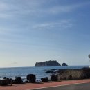 제주 토브 이미지