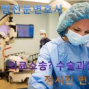 법률사무소천우 이미지