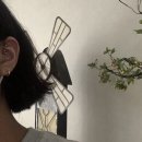 2021年 5月(+ 집 꾸미기)