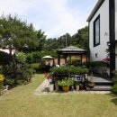 파르데스 이미지