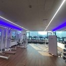 지와이 피티 이미지