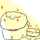 독앤트리 이미지
