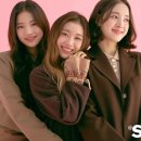 톱제화 이미지