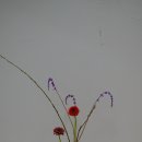 모던디자인 이미지