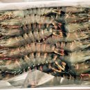 아모르캐슬 이미지