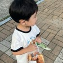 ABC펜션 | 7월 4주차 주간일기 | 재미붙은 러닝 | 김해 장유 롯데아울렛 | 다시 찾은 울산 철구소 계곡