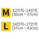 미지약국 이미지