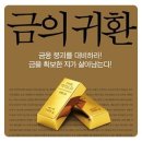 오롯이오늘 이미지