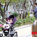 초록초록 이미지