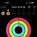 팔로우짐 이미지