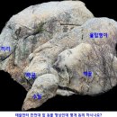 만천농장 이미지