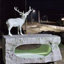 신태인 생활문화센터 이미지