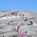 제137회 태백산 산행 안내(2025년 첫 산행 중식 제공) 이미지