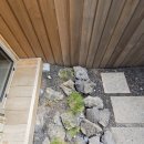 돌담 한방병원 | [방플라워가든] 봄맞이 게스트하우스 수목관리 : 첫인상을 결정짓는 한 끗 차이의 디테일