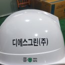 디에스그린(주) 이미지