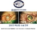 윤성진 안과/외과 동물병원 이미지