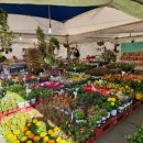 축협하나로마트안림점 이미지