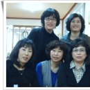 금성지업사 - 목포시 영산로59번길 12 | 금성지업사