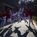 BOK 태권도 이미지