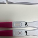 시엘병원 | 시엘병원 인공수정1차후기 및 증상기록-2(8일~12일차)