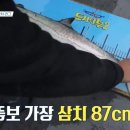 삼다낚시