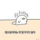 2025.05월 3주차