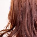 마이수플레르