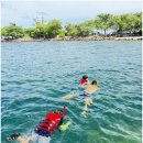 투어지오 이미지