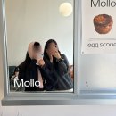 안산 고잔동카페 몰로커피 Mollo ; 분위기 좋은 신상카페