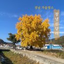 신당리 마을회관 이미지