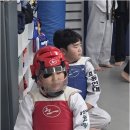 용인대 부부태권도장 이미지