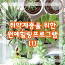 사단법인 한국정신장애인복지협회 | [인천 원예치료 프로그램] 취약계층을 위한 원예 힐링 프로그램 - 지역 취약계층 어르신 정서지원