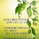 개포1동주민센터 이미지