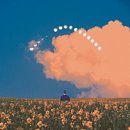 수우정보 이미지