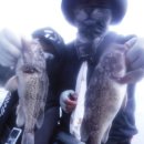 킹콩낚시 이미지